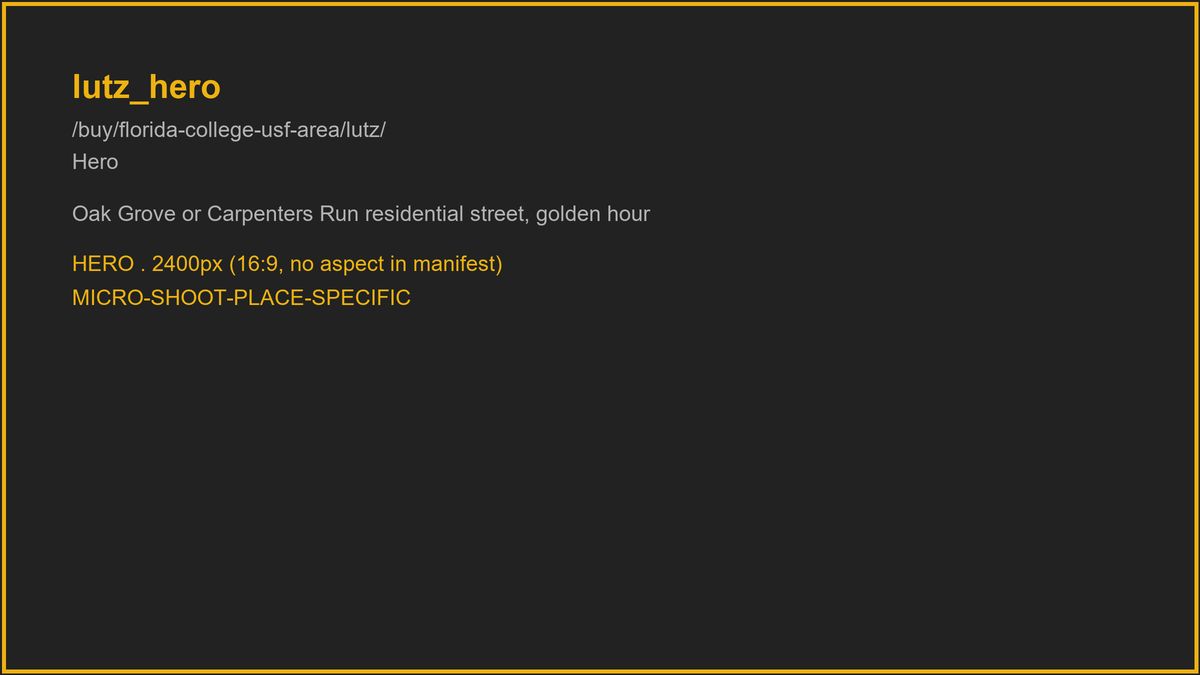 Lutz streetscape
