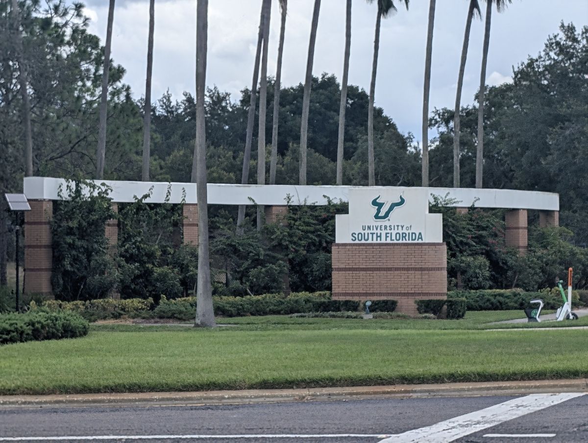 The University of South Florida frontage on Fowler Avenue, seen from across the road.